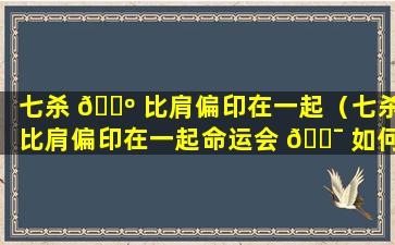 七杀 🐺 比肩偏印在一起（七杀比肩偏印在一起命运会 🐯 如何4两七女命）